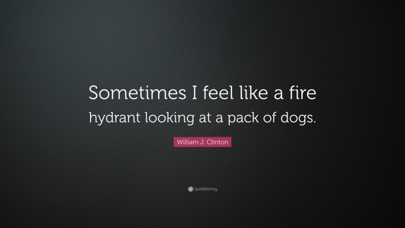 William J. Clinton Quote: “Sometimes I feel like a fire hydrant looking at a pack of dogs.”