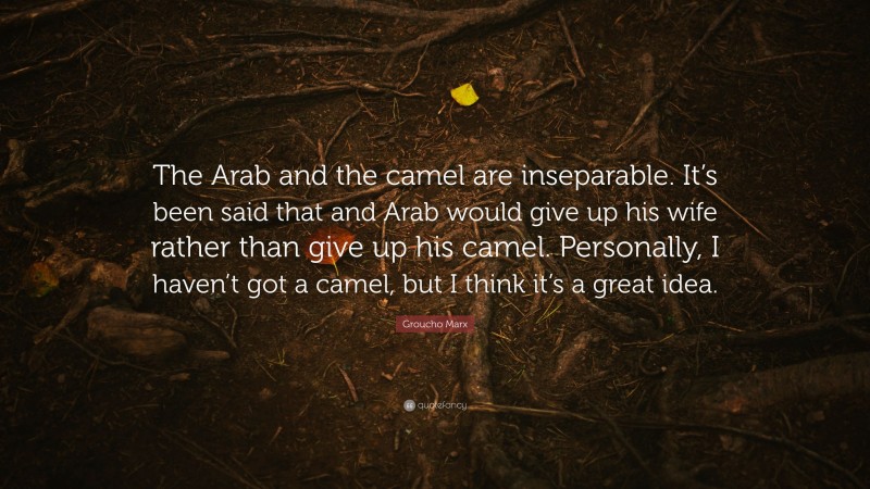 Groucho Marx Quote: “The Arab and the camel are inseparable. It’s been said that and Arab would give up his wife rather than give up his camel. Personally, I haven’t got a camel, but I think it’s a great idea.”