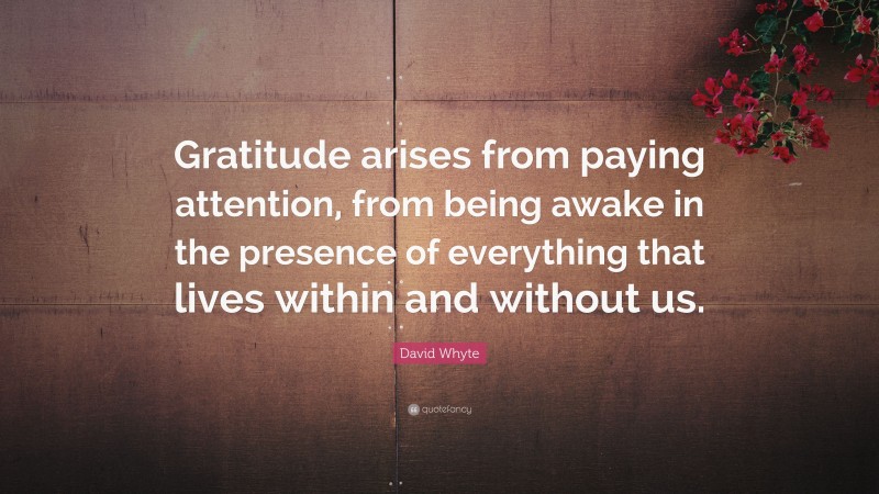 David Whyte Quote: “Gratitude arises from paying attention, from being awake in the presence of everything that lives within and without us.”