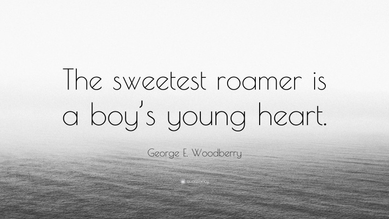 George E. Woodberry Quote: “The sweetest roamer is a boy’s young heart.”