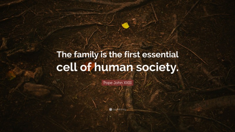 Pope John XXIII Quote: “The family is the first essential cell of human society.”
