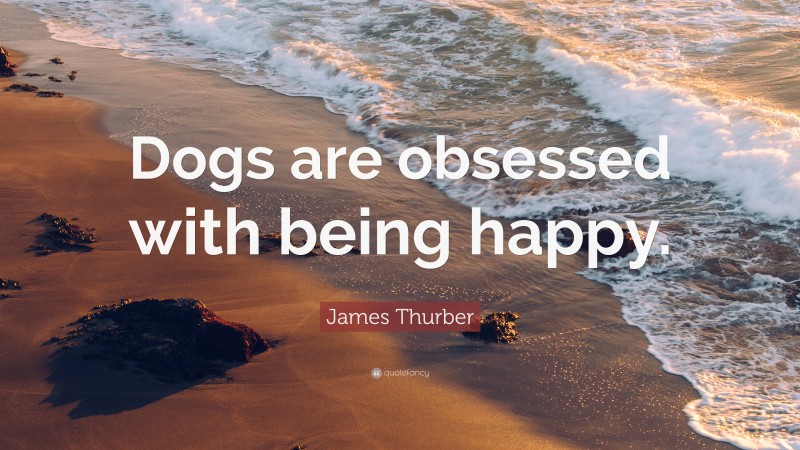James Thurber Quote: “Dogs are obsessed with being happy.”