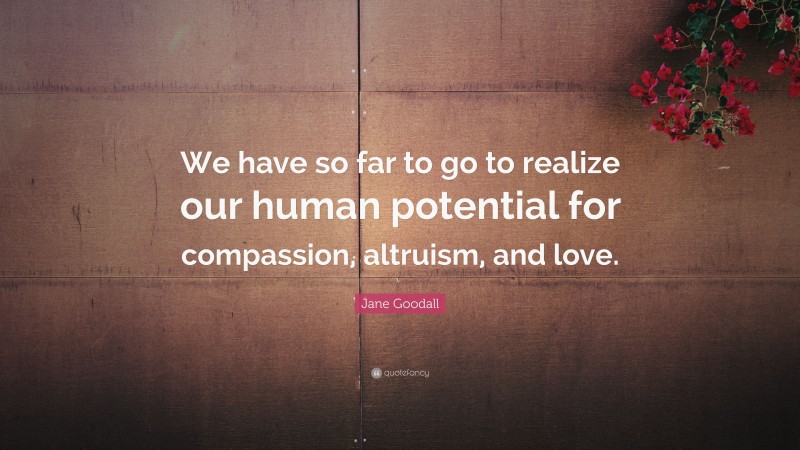 Jane Goodall Quote: “We have so far to go to realize our human potential for compassion, altruism, and love.”