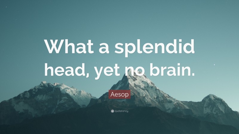 Aesop Quote: “What a splendid head, yet no brain.”