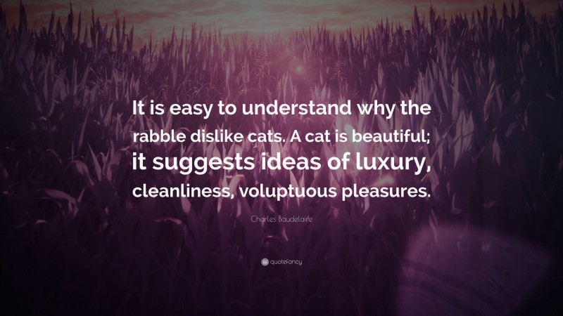 Charles Baudelaire Quote: “It is easy to understand why the rabble dislike cats. A cat is beautiful; it suggests ideas of luxury, cleanliness, voluptuous pleasures.”