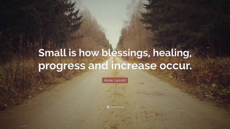 Anne Lamott Quote: “Small is how blessings, healing, progress and increase occur.”