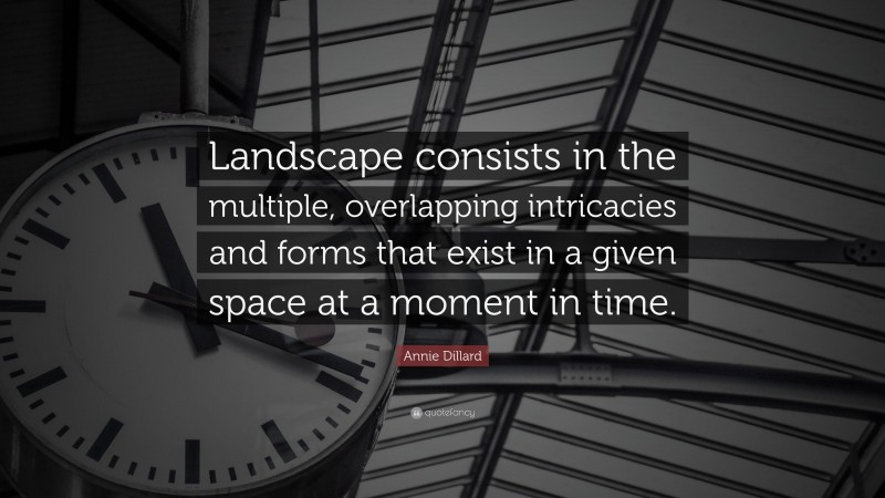 Annie Dillard Quote: “Landscape consists in the multiple, overlapping intricacies and forms that exist in a given space at a moment in time.”