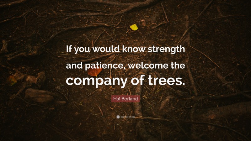 Hal Borland Quote: “If you would know strength and patience, welcome the company of trees.”