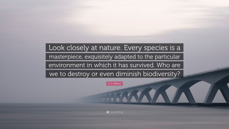 E. O. Wilson Quote: “Look closely at nature. Every species is a masterpiece, exquisitely adapted to the particular environment in which it has survived. Who are we to destroy or even diminish biodiversity?”