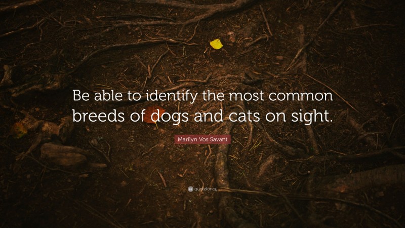 Marilyn Vos Savant Quote: “Be able to identify the most common breeds of dogs and cats on sight.”