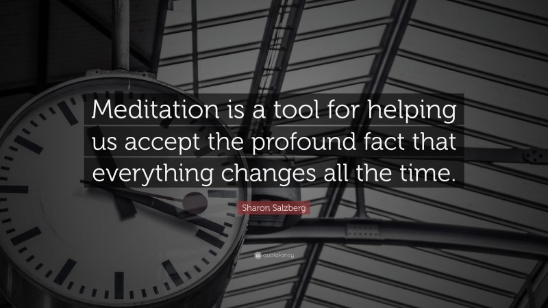 Sharon Salzberg Quote: “Meditation is a tool for helping us accept the profound fact that everything changes all the time.”