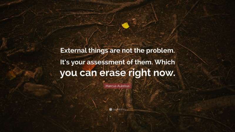 Marcus Aurelius Quote: “External things are not the problem. It’s your assessment of them. Which you can erase right now.”