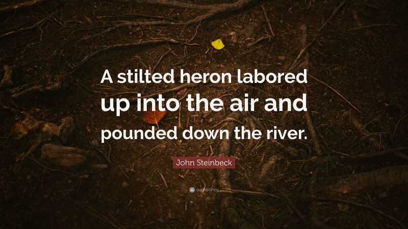 John Steinbeck Quote: “A stilted heron labored up into the air and pounded down the river.”