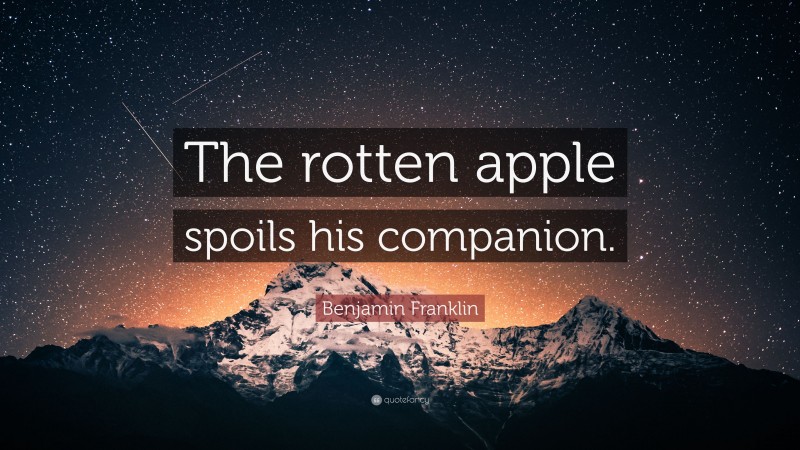 Benjamin Franklin Quote: “The rotten apple spoils his companion.”