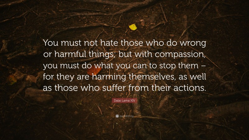 Dalai Lama XIV Quote: “You must not hate those who do wrong or harmful things; but with compassion, you must do what you can to stop them – for they are harming themselves, as well as those who suffer from their actions.”