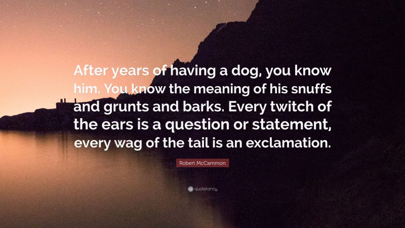 Robert McCammon Quote: “After years of having a dog, you know him. You know the meaning of his snuffs and grunts and barks. Every twitch of the ears is a question or statement, every wag of the tail is an exclamation.”