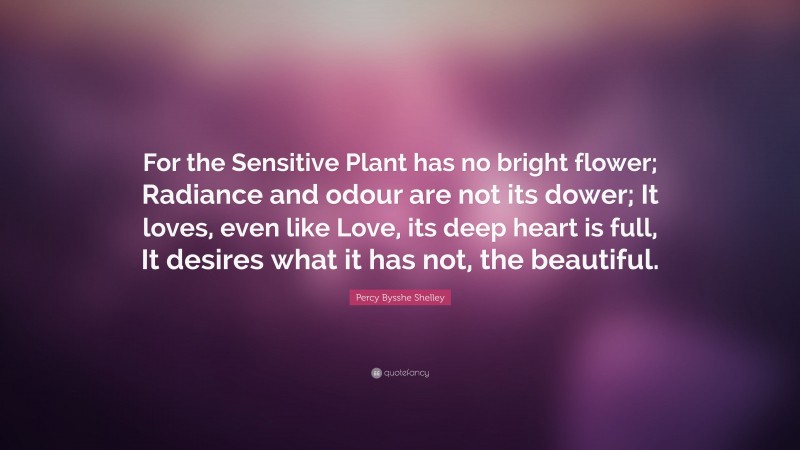 Percy Bysshe Shelley Quote: “For the Sensitive Plant has no bright flower; Radiance and odour are not its dower; It loves, even like Love, its deep heart is full, It desires what it has not, the beautiful.”