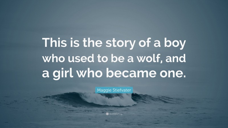 Maggie Stiefvater Quote: “This is the story of a boy who used to be a wolf, and a girl who became one.”