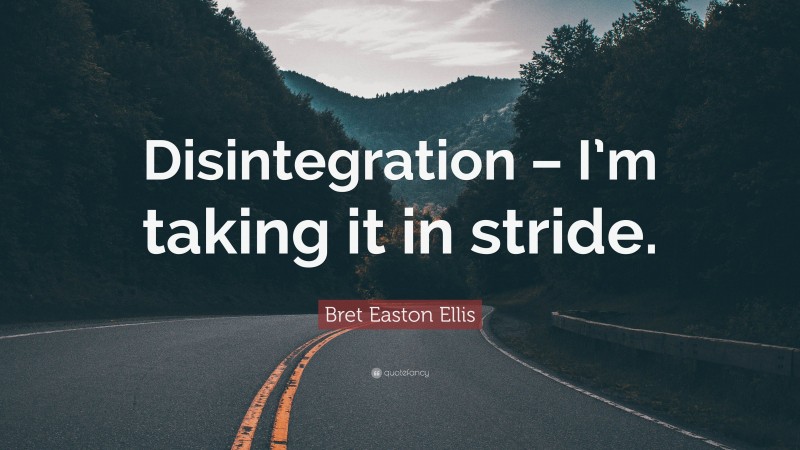 Bret Easton Ellis Quote: “Disintegration – I’m taking it in stride.”
