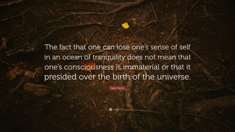 Sam Harris Quote: “The fact that one can lose one’s sense of self in an ocean of tranquility does not mean that one’s consciousness is immaterial or that it presided over the birth of the universe.”