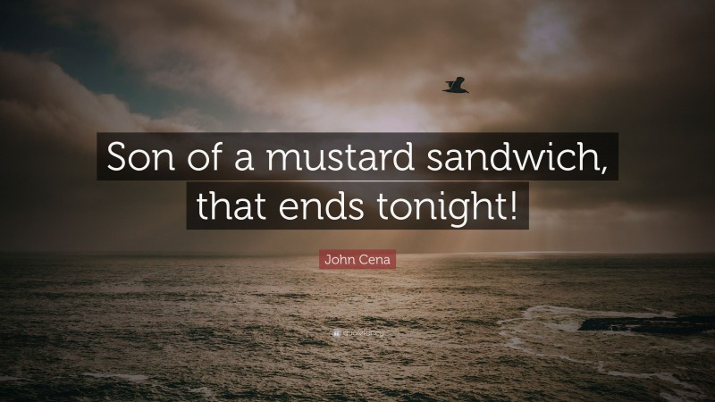 John Cena Quote: “Son of a mustard sandwich, that ends tonight!”