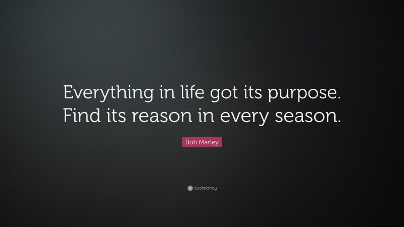 Bob Marley Quote: “Everything in life got its purpose. Find its reason in every season.”