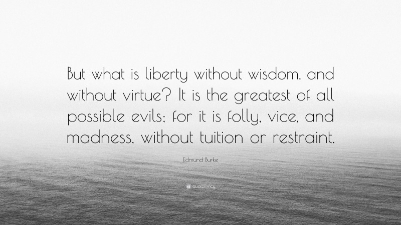 Edmund Burke Quote: “But what is liberty without wisdom, and without virtue? It is the greatest of all possible evils; for it is folly, vice, and madness, without tuition or restraint.”