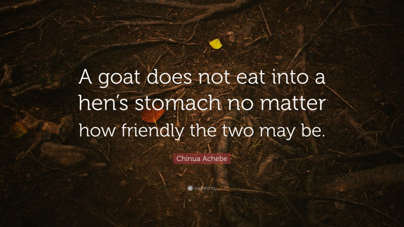Chinua Achebe Quote: “A goat does not eat into a hen’s stomach no matter how friendly the two may be.”