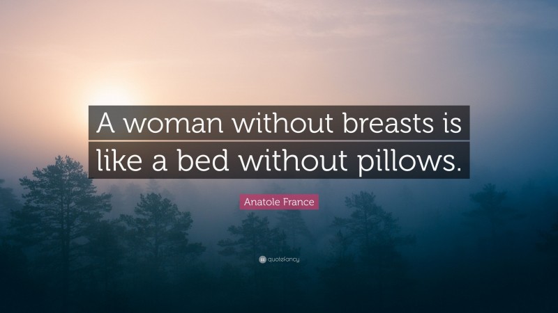Anatole France Quote: “A woman without breasts is like a bed without pillows.”