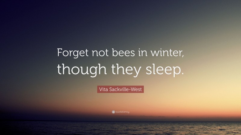 Vita Sackville-West Quote: “Forget not bees in winter, though they sleep.”