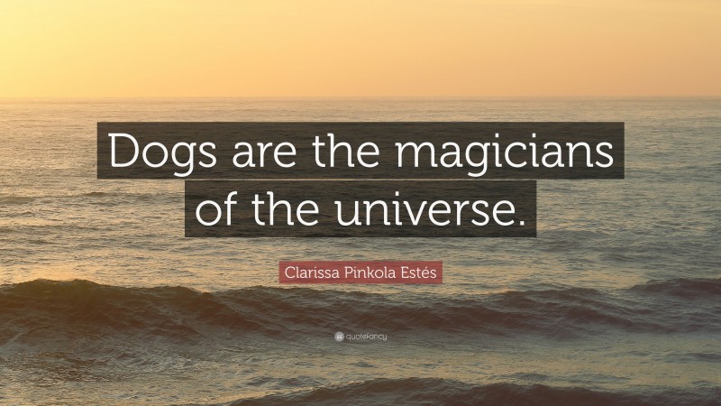 Clarissa Pinkola Estés Quote: “Dogs are the magicians of the universe.”