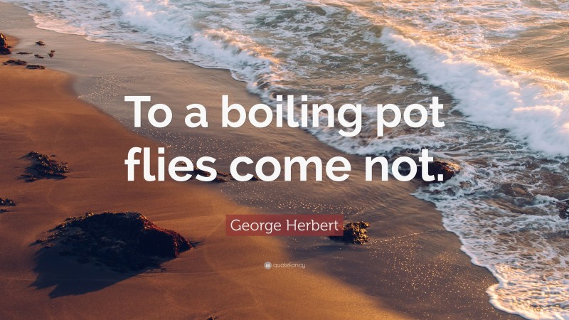 George Herbert Quote: “To a boiling pot flies come not.”