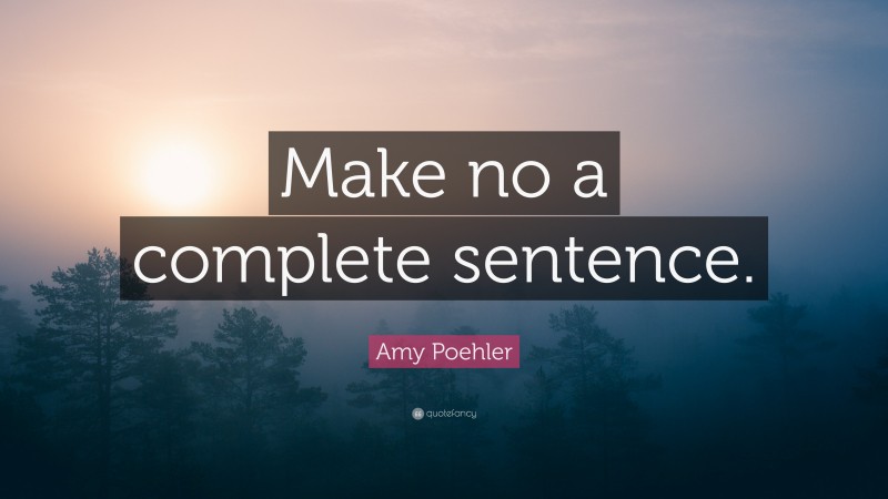 Amy Poehler Quote: “Make no a complete sentence.”