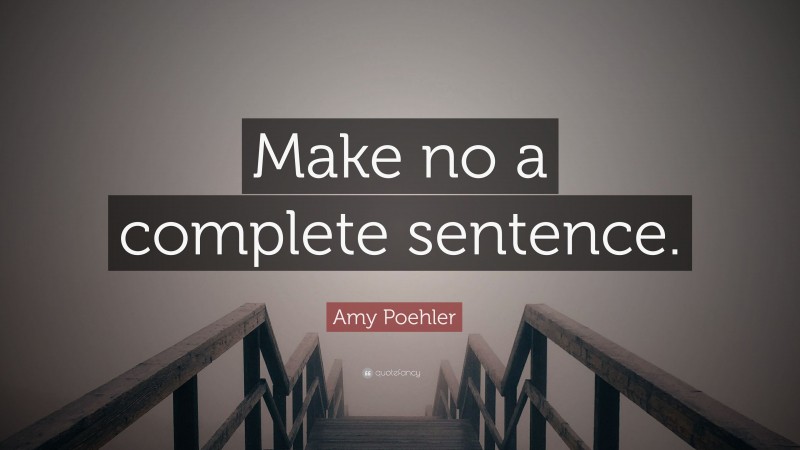 Amy Poehler Quote: “Make no a complete sentence.”