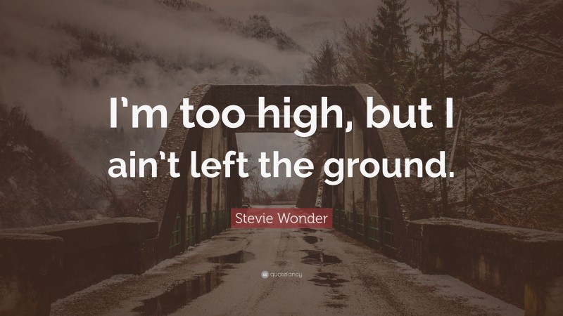 Stevie Wonder Quote: “I’m too high, but I ain’t left the ground.”