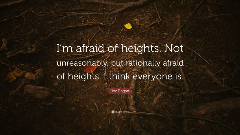 Joe Rogan Quote: “I’m afraid of heights. Not unreasonably, but rationally afraid of heights. I think everyone is.”