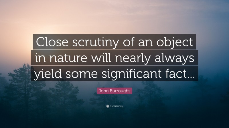 John Burroughs Quote: “Close scrutiny of an object in nature will nearly always yield some significant fact...”