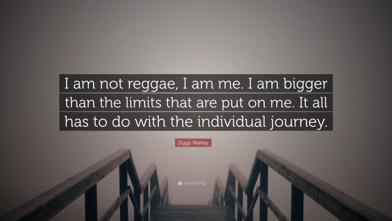 Ziggy Marley Quote: “I am not reggae, I am me. I am bigger than the limits that are put on me. It all has to do with the individual journey.”