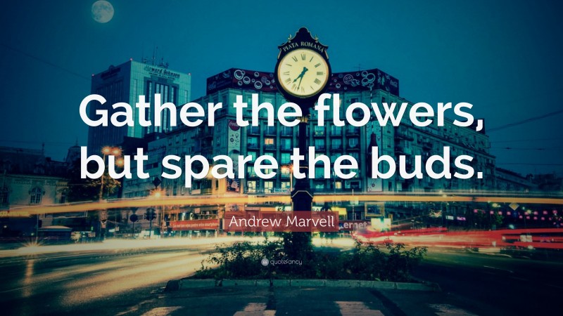 Andrew Marvell Quote: “Gather the flowers, but spare the buds.”