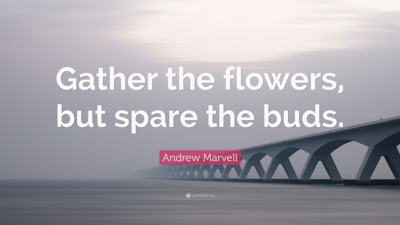 Andrew Marvell Quote: “Gather the flowers, but spare the buds.”