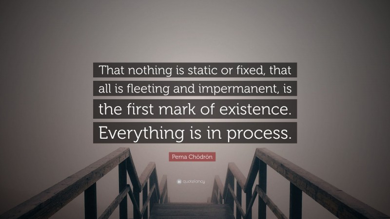 Pema Chödrön Quote: “That nothing is static or fixed, that all is fleeting and impermanent, is the first mark of existence. Everything is in process.”