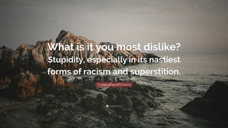 Christopher Hitchens Quote: “What is it you most dislike? Stupidity, especially in its nastiest forms of racism and superstition.”