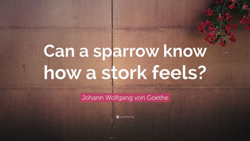 Johann Wolfgang von Goethe Quote: “Can a sparrow know how a stork feels?”