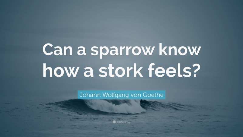 Johann Wolfgang von Goethe Quote: “Can a sparrow know how a stork feels?”