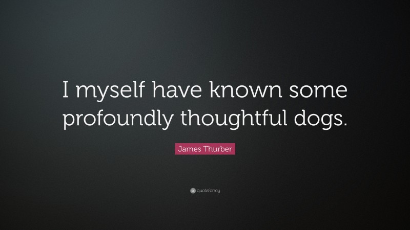 James Thurber Quote: “I myself have known some profoundly thoughtful dogs.”