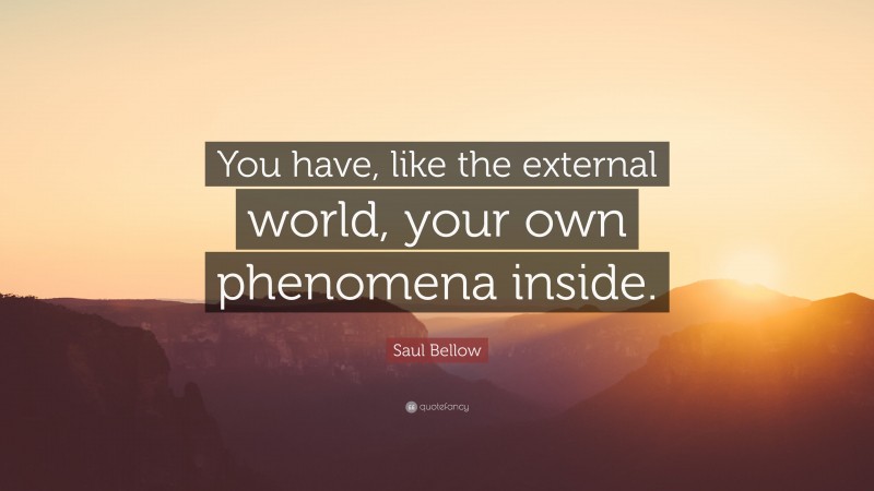 Saul Bellow Quote: “You have, like the external world, your own phenomena inside.”