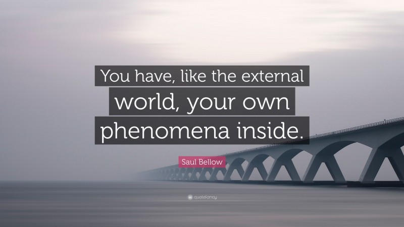 Saul Bellow Quote: “You have, like the external world, your own phenomena inside.”