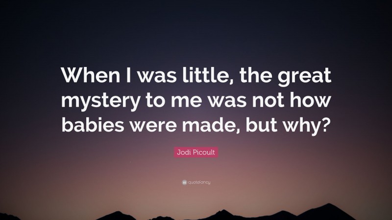 Jodi Picoult Quote: “When I was little, the great mystery to me was not how babies were made, but why?”