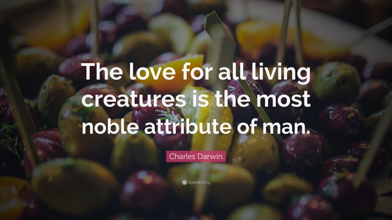 Charles Darwin Quote: “The love for all living creatures is the most noble attribute of man.”