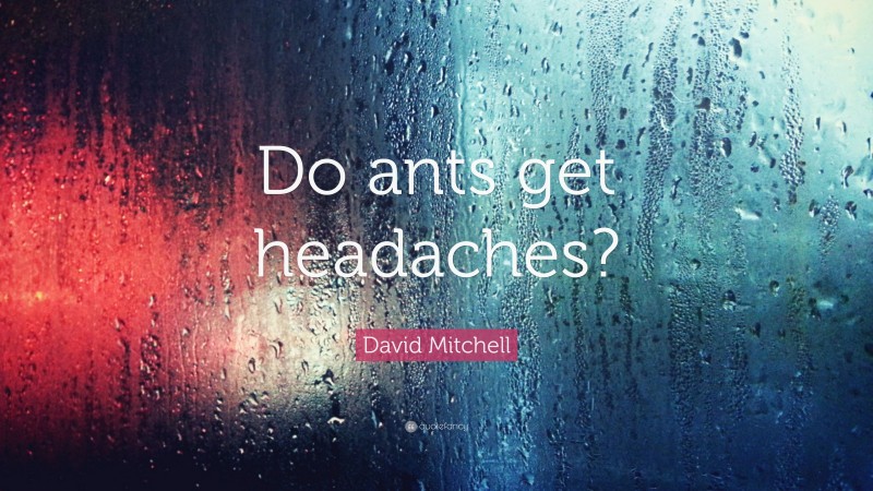 David Mitchell Quote: “Do ants get headaches?”